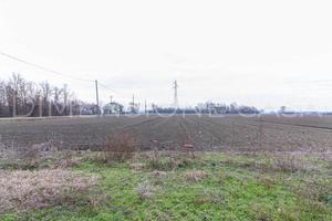 Terreno di 54365 m² a Camposanto