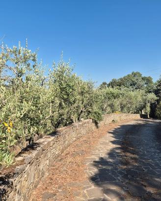 Appartamento nel verde a 6km dal mare