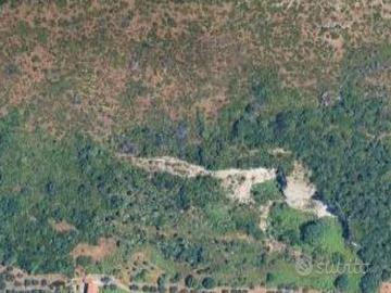 Terreno agricolo di 40.000 mq a soli 2km da centro