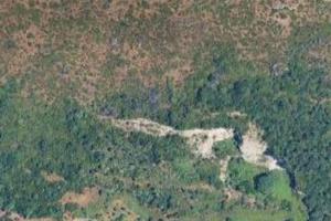 Terreno agricolo di 40.000 mq a soli 2km da centro