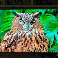 Samsung Smart TV 65” Ultra HD 4K — Design Slim