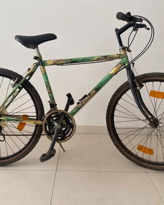 Bicicletta