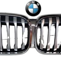 MASCHERINA ANTERIORE BMW X1 Serie (F48) 137259304