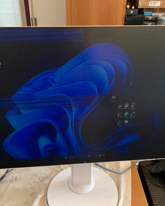 monitor eizo flexscan ev2750 guasto
