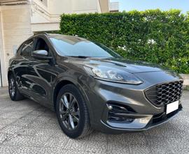 FORD Kuga 1.5 120 CV aut. 2WD ST-Line X