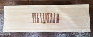 Tignanello Magnum 2022 Antinori