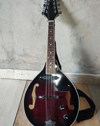 Mandolino elettrico Stagg mod.M50E