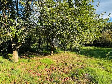 TER. AGRICOLO A BRACCIANO