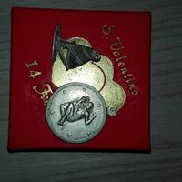 Ciondoli per collana in argento