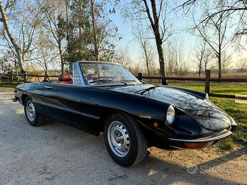 Alfa Romeo Spider 1.3 Junior 1972 Duetto