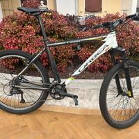Mtb orbea replay