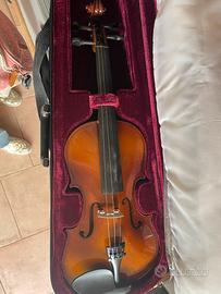 Violino con custodia