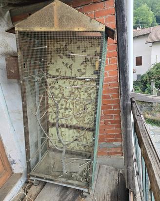 Gabbia/voliera per uccelli  
