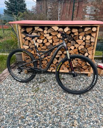 Specialized stumpjumper ruote 29”