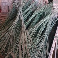 Filo di ferro plastificato