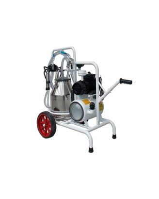 Mungitrice bovini Fdashop un gruppo mungitura