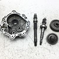 CARTER CON INGRANAGGI RUOTA POSTERIORE KYMCO XCITI