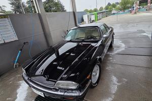 Jaguar XJS 3.6