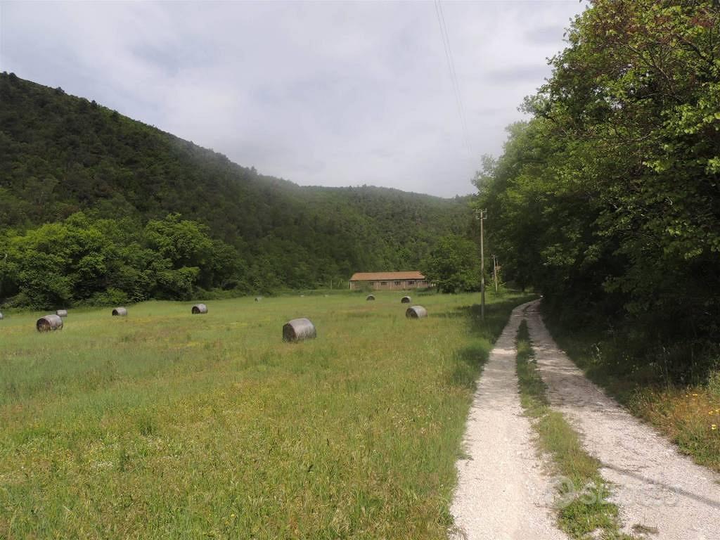 Rustico / Casale di 250 m² con più di 5 locali a T - Vista 3