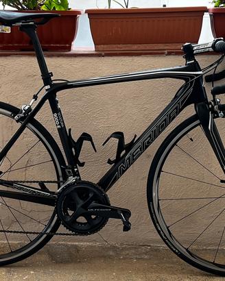 Bici in carbonio Merida Scultura 9000