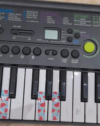Tastiera Casio con custodia