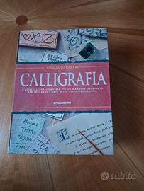 set calligrafia, della Agostini 