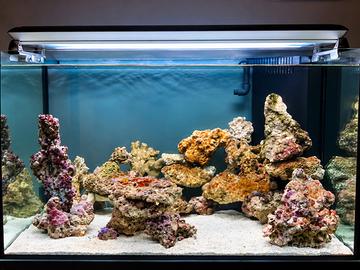 Acquario marino 357L + sump, mobile, Deltec