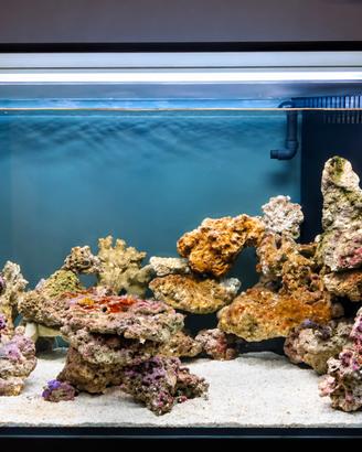 Acquario marino 357L + sump, mobile, Deltec