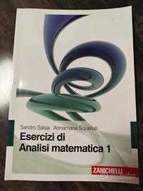 libro esercizi di analisi matematica 1 Zanichelli