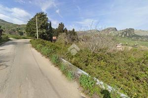 TER. AGRICOLO A MONREALE