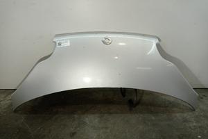 COFANO ANTERIORE SMART ForTwo Cabrio (W451) A45175