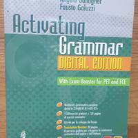 Activating Grammar 9788883390685