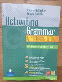 Activating Grammar 9788883390685