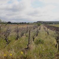 Is Ammostus, Terreno regolare fronte strada