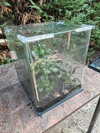 acquario