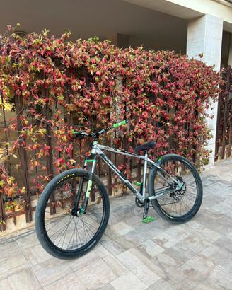Atala Snap 29