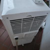 pinguino condizionatore argo