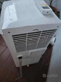 pinguino condizionatore argo