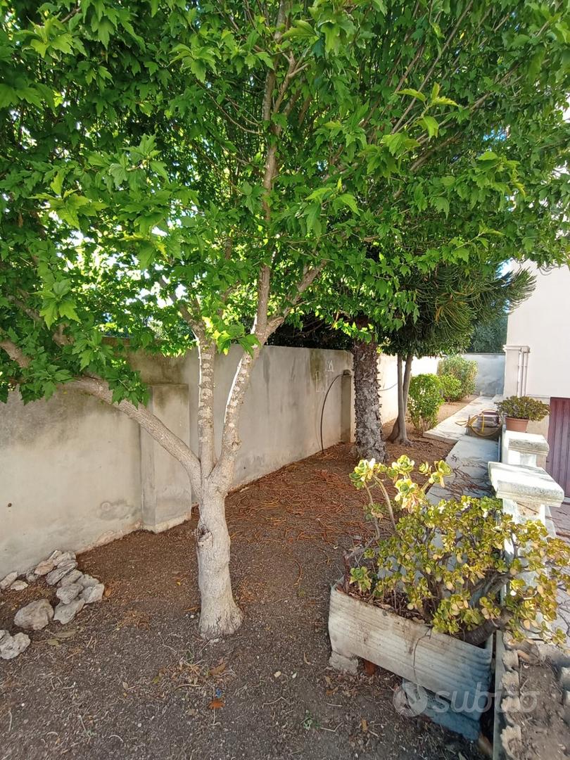 Apartment in TA, Taranto - Vista 6