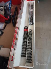 Molle racing forcella e kit