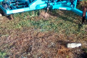 Vibrocoltivatore Polacchi 4 mt