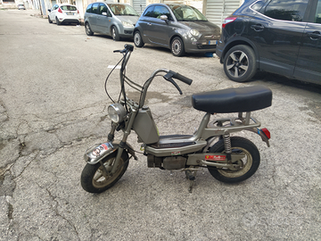 Mini califfo 50 4 Marcie