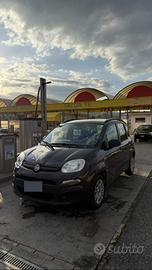 Fiat Panda 2012