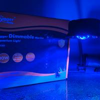 Lampada LED acquario marino 