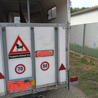 Trailer trasporto cavalli