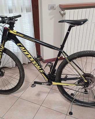 bicicletta