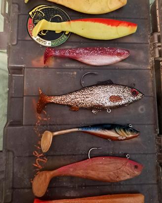 Lotto shad 40 euro 