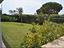 Immagine 12