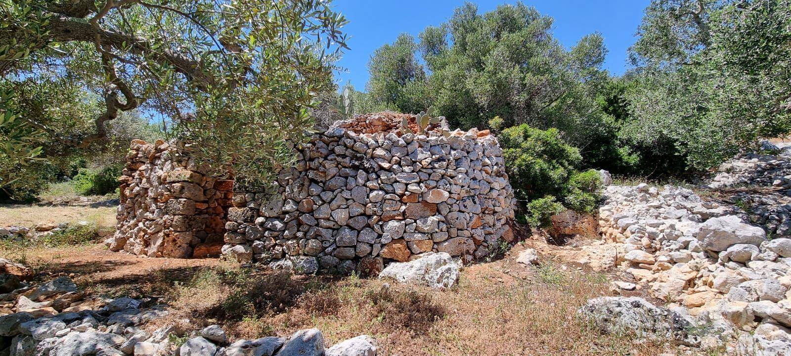 Pajara con progetto ristrutturazione approvato - Vista 3