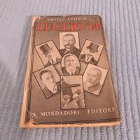 Libro di quasi 100 anni sulla 1° guerra mondiale